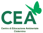 CEA